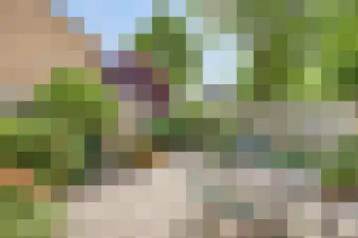 Wolvespoor 30 Oss thumbnail 24