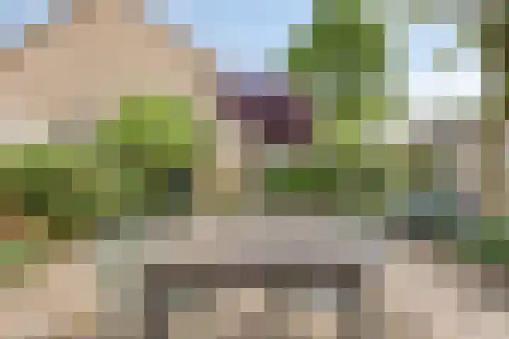 Wolvespoor 30 Oss thumbnail 25