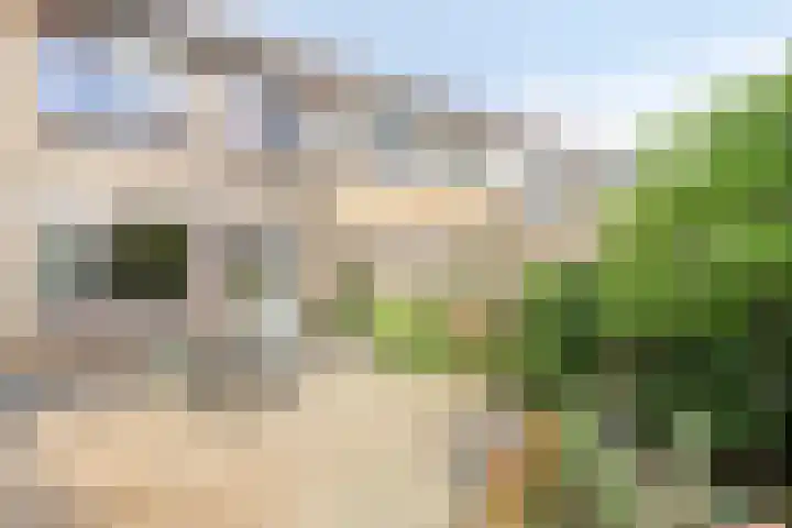Wolvespoor 30 Oss thumbnail 26