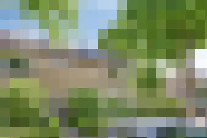 Wolvespoor 30 Oss thumbnail 27