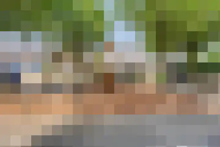 Wolvespoor 30 Oss thumbnail 29