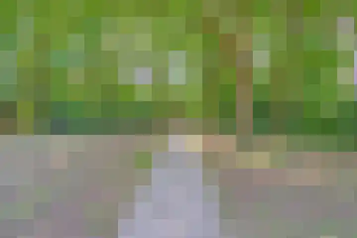 Wolvespoor 30 Oss thumbnail 30
