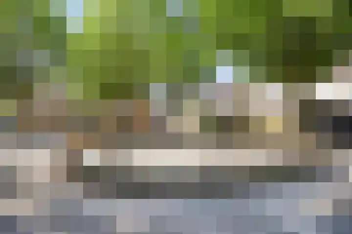 Wolvespoor 30 Oss thumbnail 31