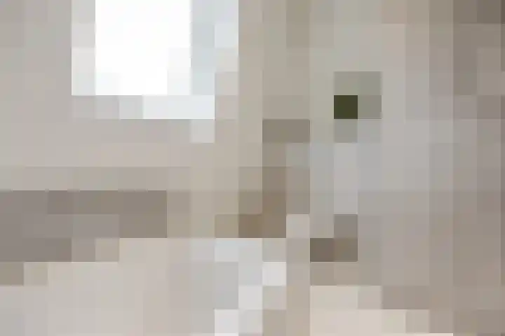 Wolweg 39 Stroe thumbnail 31