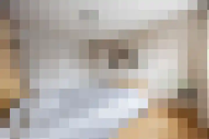 Wolweg 39 Stroe thumbnail 33