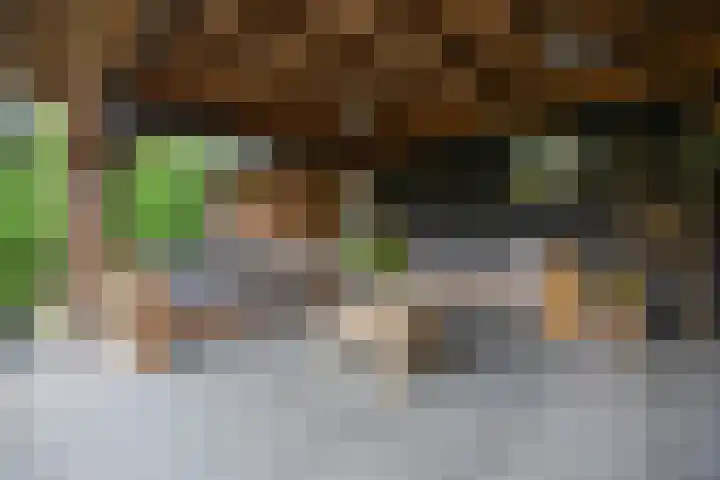 Wolweg 39 Stroe thumbnail 47