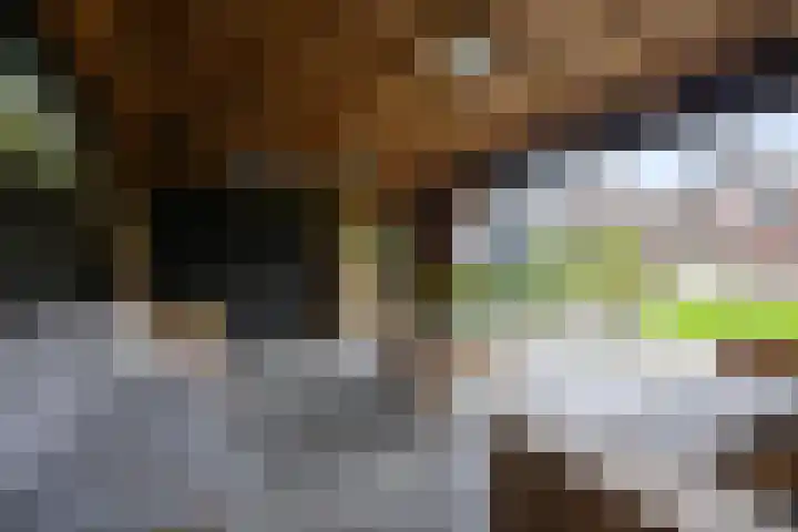 Wolweg 39 Stroe thumbnail 48