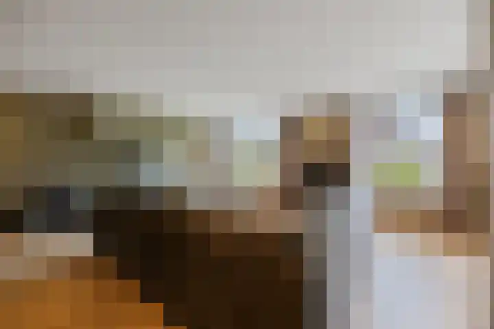 Wolweg 39 Stroe thumbnail 9