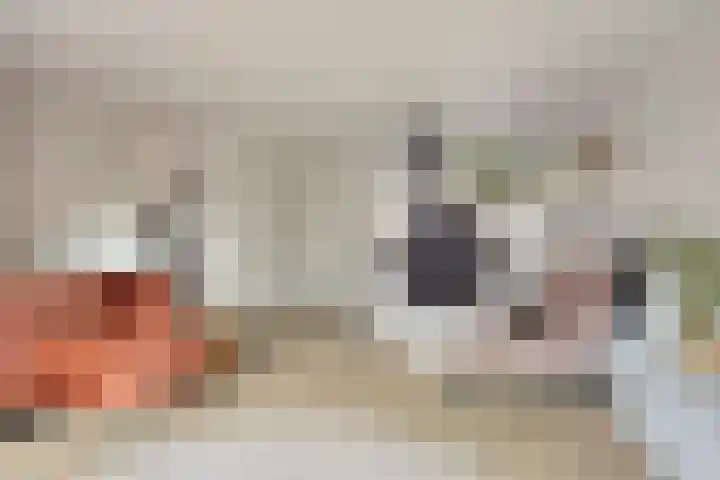 Wolweversgilde 4 Hasselt thumbnail 10
