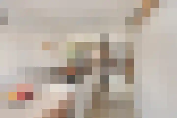 Wolweversgilde 4 Hasselt thumbnail 12
