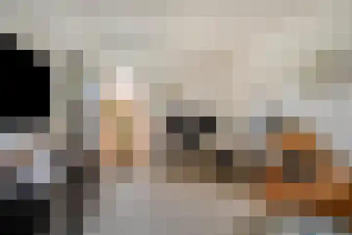 Wolweversgilde 4 Hasselt thumbnail 17