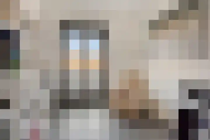 Wolweversgilde 4 Hasselt thumbnail 24
