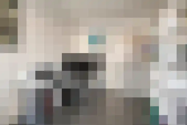 Wolweversgilde 4 Hasselt thumbnail 25