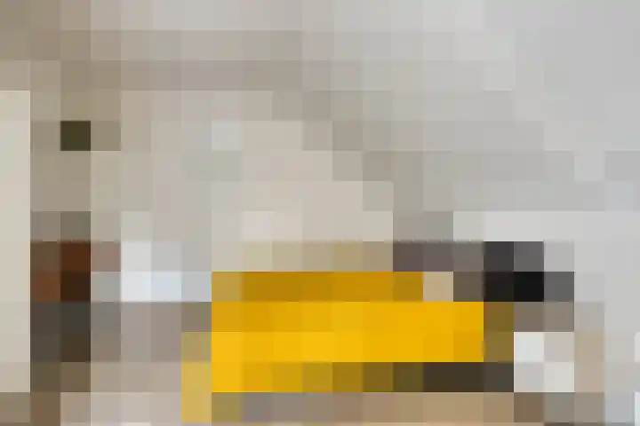 Wolweversgilde 4 Hasselt thumbnail 30