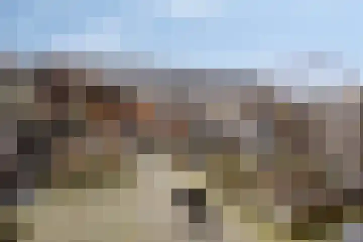 Wolweversgilde 4 Hasselt thumbnail 32