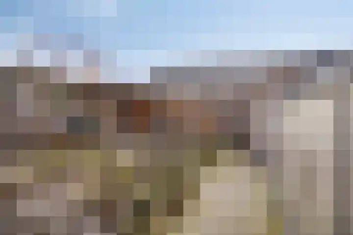 Wolweversgilde 4 Hasselt thumbnail 33