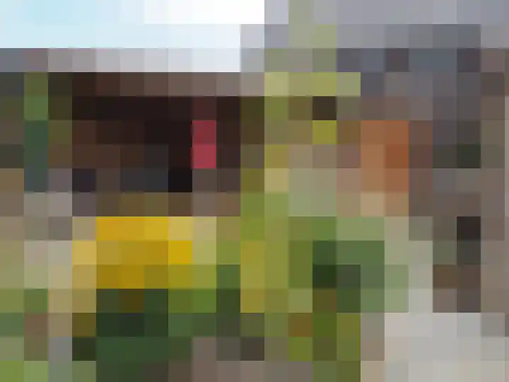 Wolweversgilde 4 Hasselt thumbnail 38