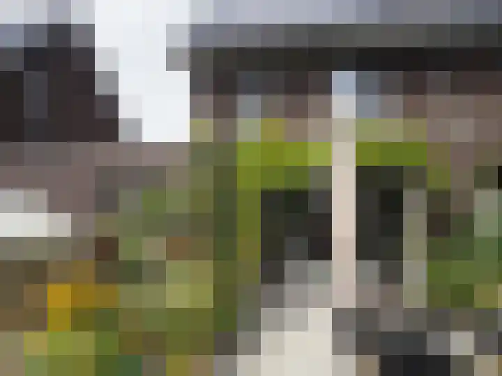 Wolweversgilde 4 Hasselt thumbnail 39