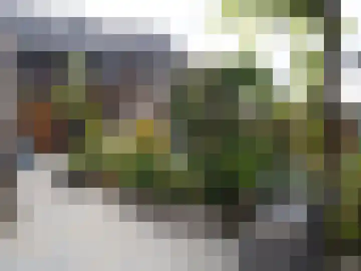 Wolweversgilde 4 Hasselt thumbnail 40