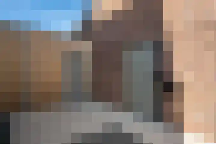 Wolweversgilde 58 Hasselt thumbnail 13