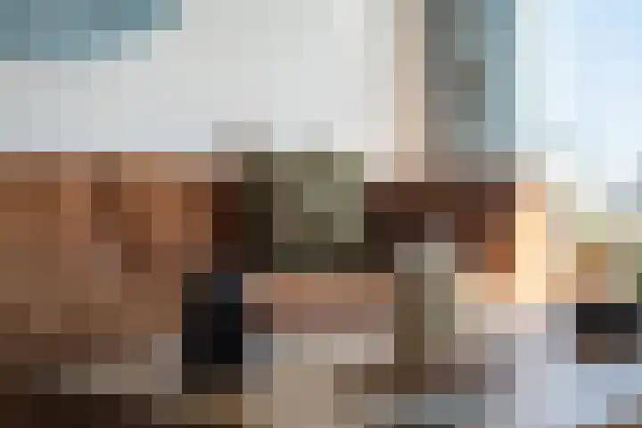 Wolweversgilde 58 Hasselt thumbnail 18