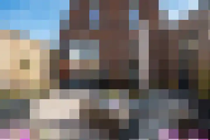 Wolweversgilde 58 Hasselt thumbnail 35