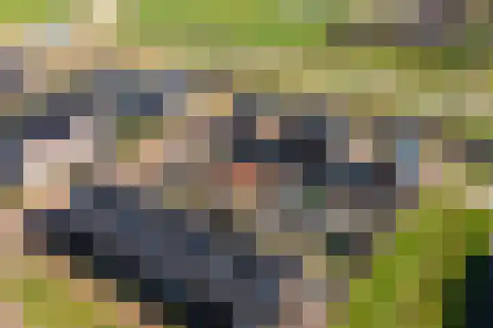 Wolweversgilde 58 Hasselt thumbnail 36