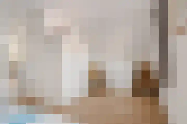 Wolweversgilde 58 Hasselt thumbnail 43