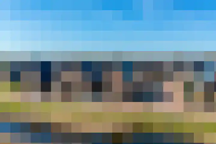 Wolweversgilde 58 Hasselt thumbnail 7