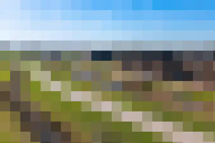 Wolweversgilde 58 Hasselt thumbnail 9