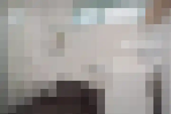 Wolweversstraat 43 Wezep thumbnail 35