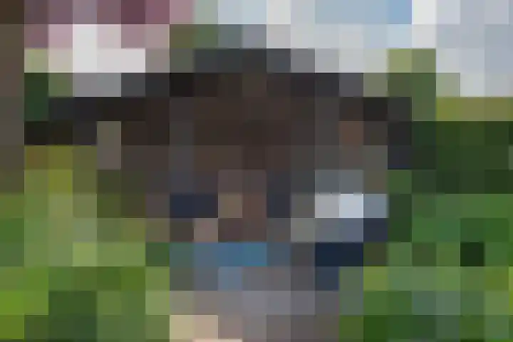 Wolweversstraat 43 Wezep thumbnail 47