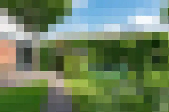 Wolweversstraat 43 Wezep thumbnail 48