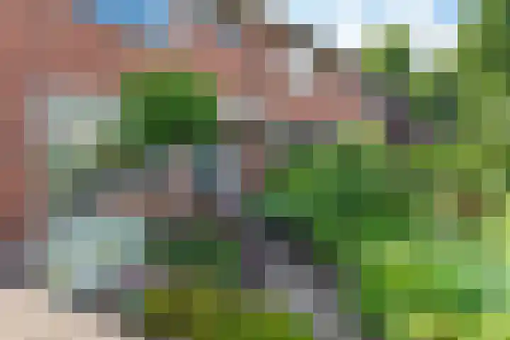 Wolweversstraat 43 Wezep thumbnail 5