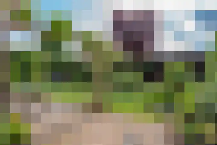 Wolweversstraat 43 Wezep thumbnail 53