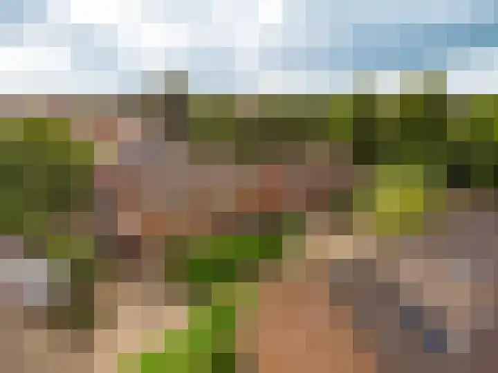 Wolweversstraat 43 Wezep thumbnail 54