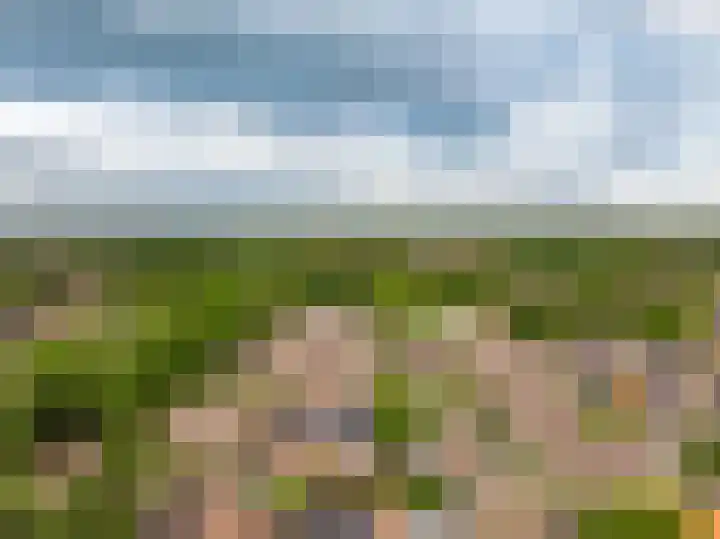 Wolweversstraat 43 Wezep thumbnail 56