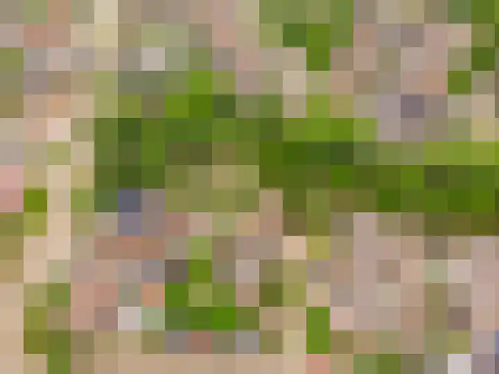 Wolweversstraat 43 Wezep thumbnail 58