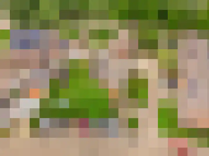 Wolweversstraat 43 Wezep thumbnail 60