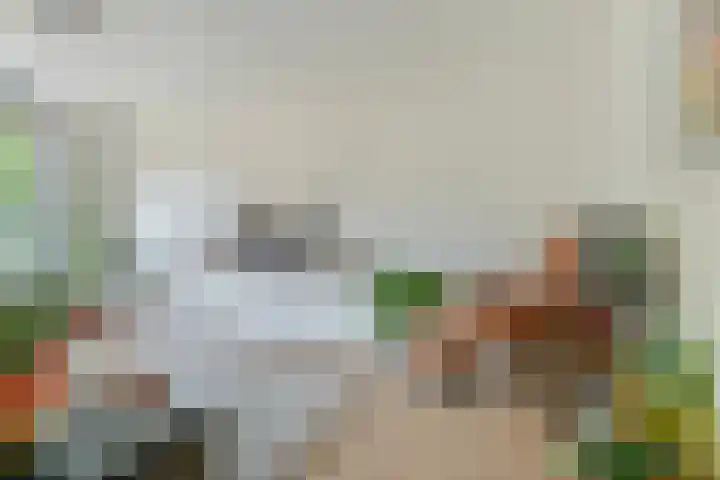 Wommelgemhof 3 Breda thumbnail 16