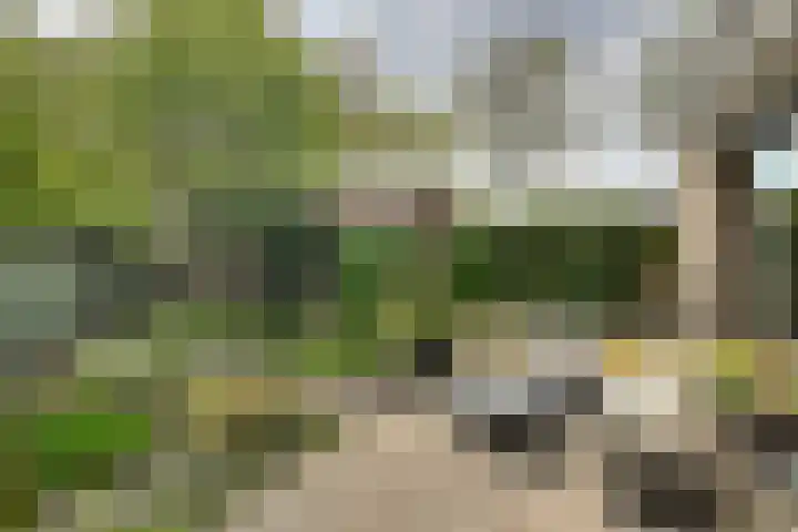 Wommelgemhof 3 Breda thumbnail 35
