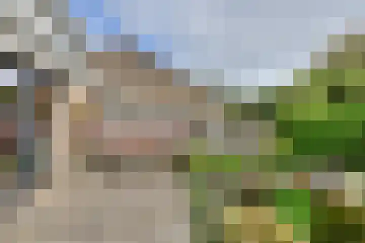 Wommelgemhof 3 Breda thumbnail 36