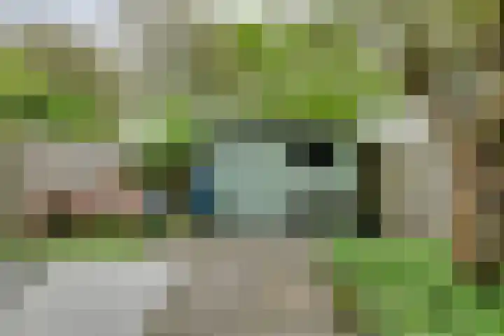 Wommelgemhof 3 Breda thumbnail 39