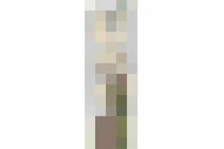 Wommelgemhof 3 Breda thumbnail 57