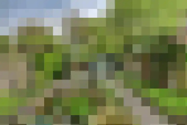 Wommelgemhof 3 Breda thumbnail 9