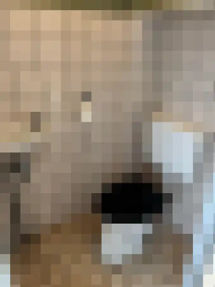 Wonge 41 Warmenhuizen thumbnail 14