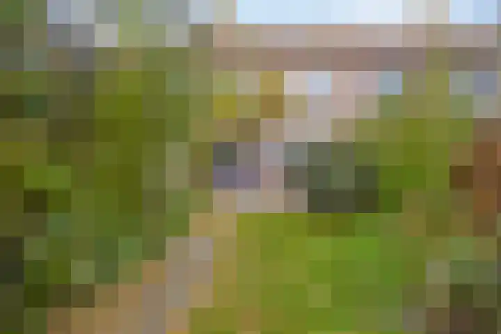 Wonge 43 Warmenhuizen thumbnail 25
