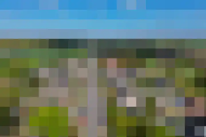 Logo Woonaccent Natuurlijk