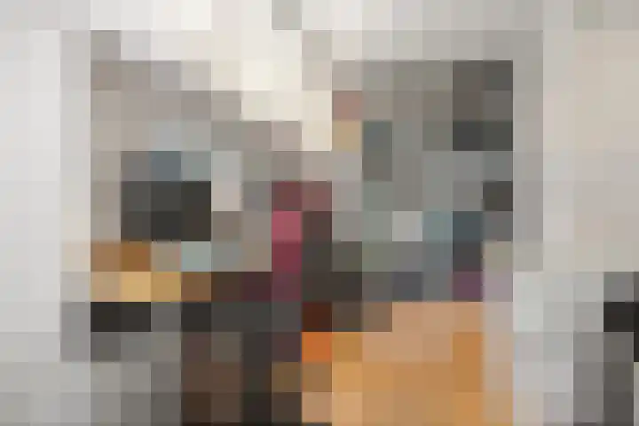 Screenshot van de website van www.woonhuis.nl