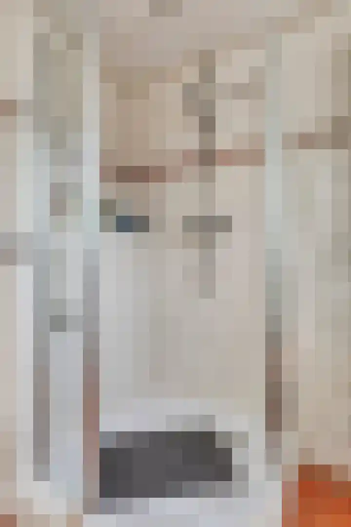 Woordlaan 1 Peize thumbnail 29